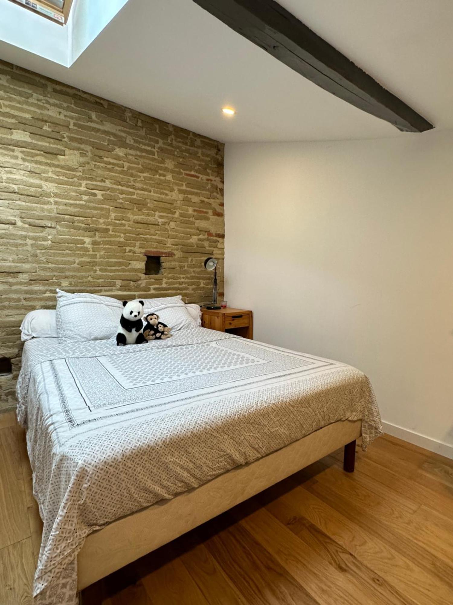 L Appartement Canal Du Midi Тулуза Екстериор снимка